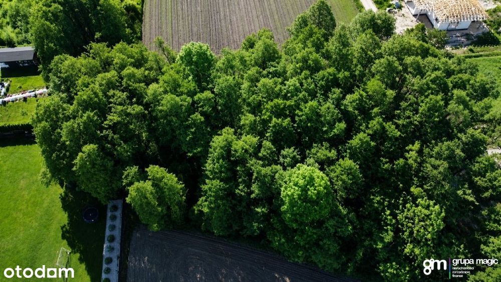 Działka 1425 m² przy lesie – Głogowo