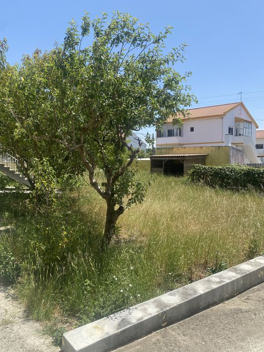 Corta mato, limpezas de jardins etc