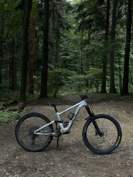 rower specialized enduro s2