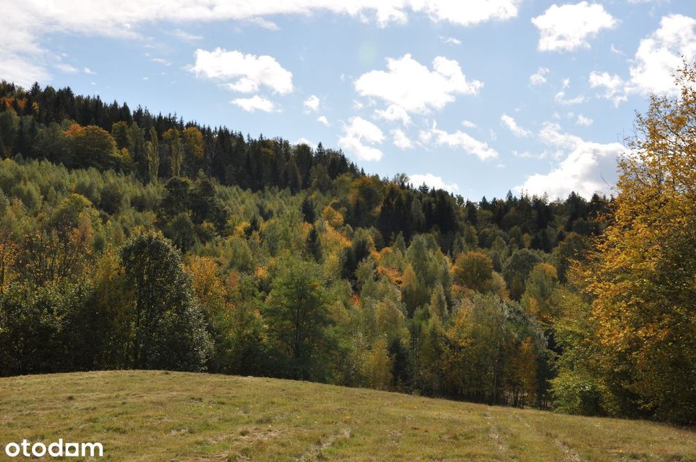 Dolnośląskie, panorama na Sudety, Gruszków