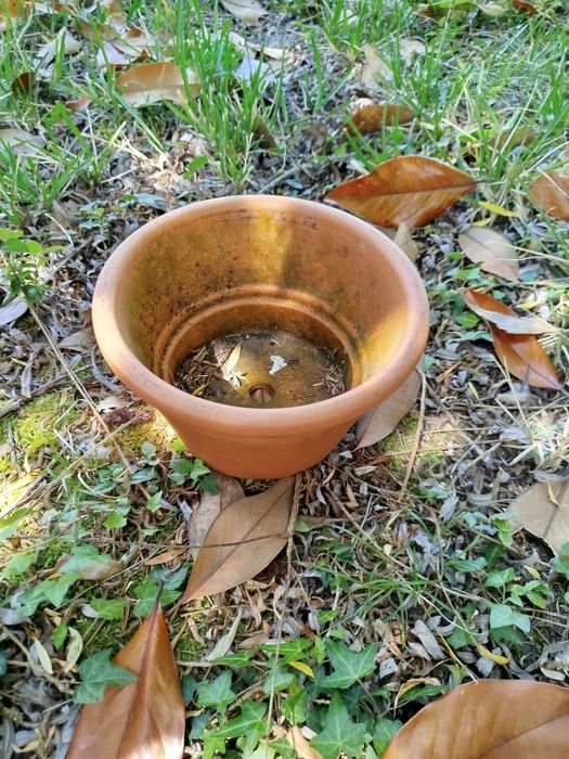 Vasos e decoração de Jardim