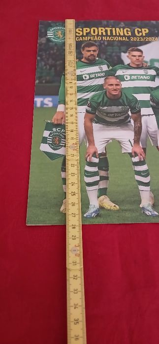 Poster Sporting CP - Campeão Nacional 2023/2014