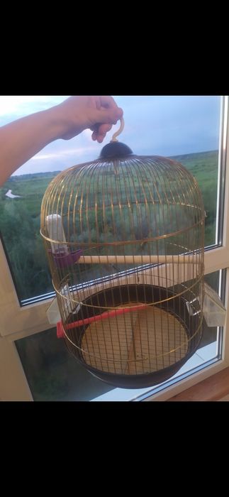 Клітка для папугаїв