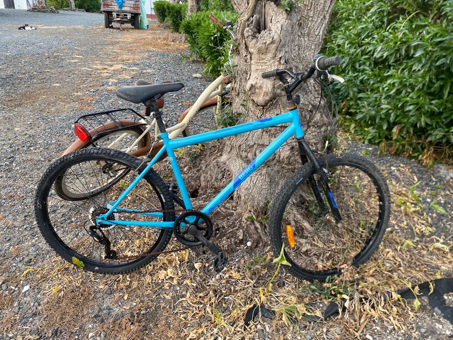 Gira Bicicleta para Primavera e Verao