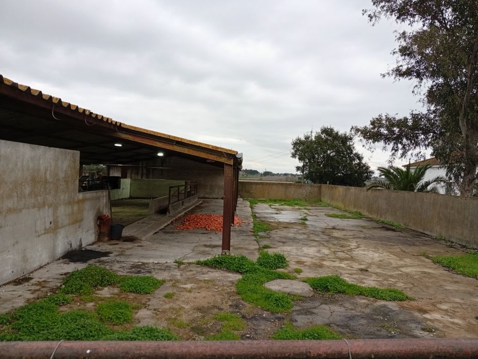 Armazém e Espaço Exterior