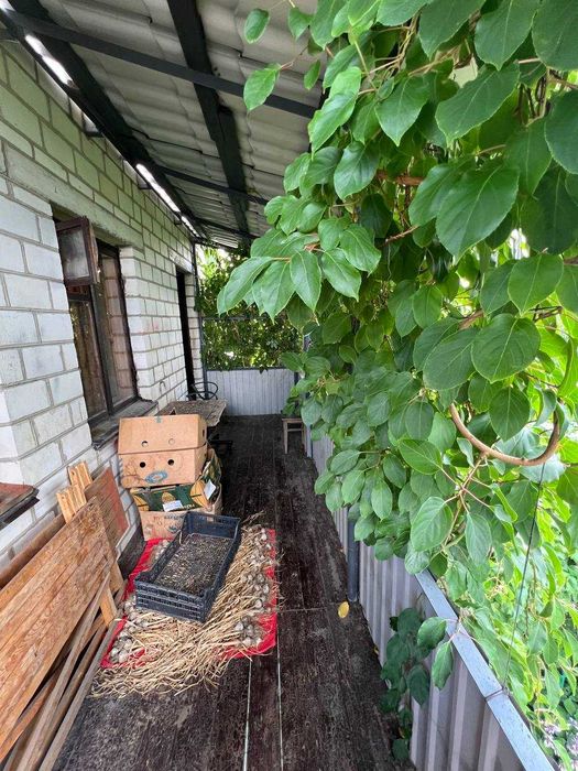 Будинок за адресою вул. Шалімова (площа 125 м²) - Atlanta.ua - фото 21