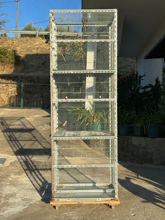 Conjunto de Gaiolas para Pássaros