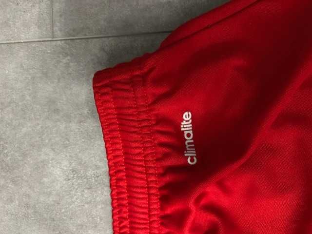 spodenki krótkie adidas czerwone