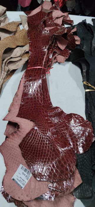 Шкіра  крокодила  600 грн