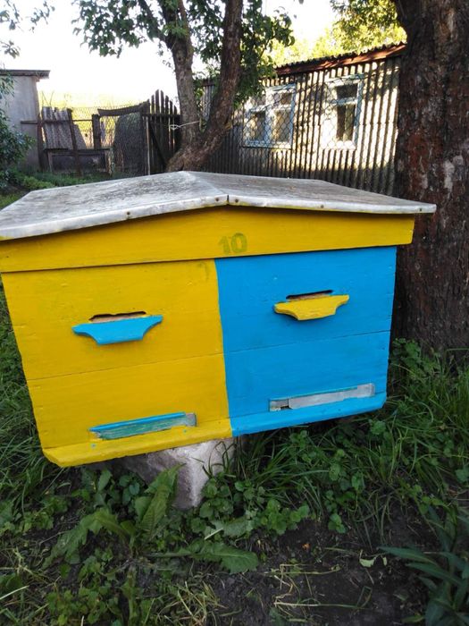 Вулики бджолині в гарному стані