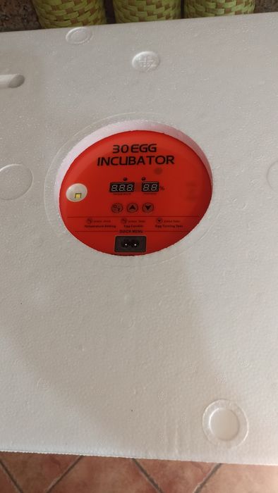 Chocadeira automática 30 ovos