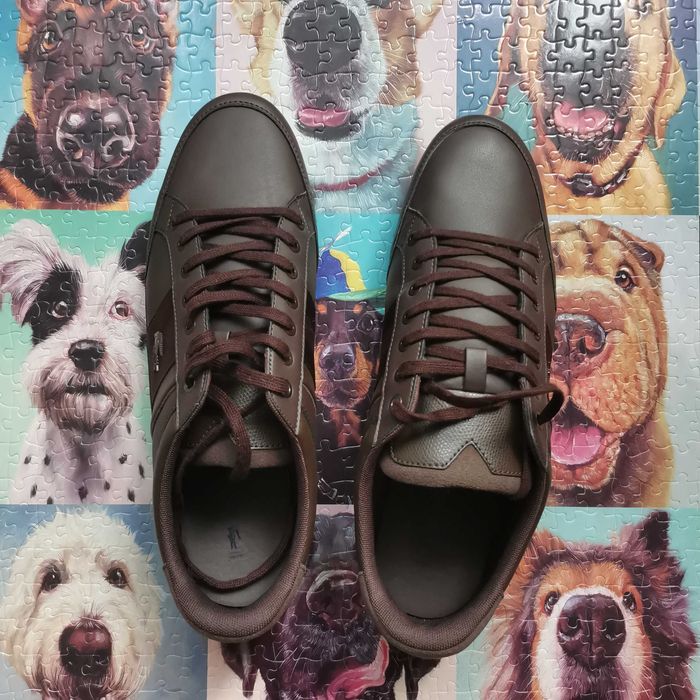Sapatos Lacoste Chaymon 119 2 CMA castanho