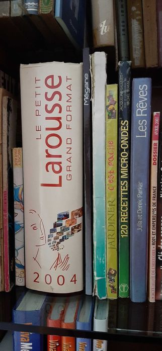 Livros Franceses variados