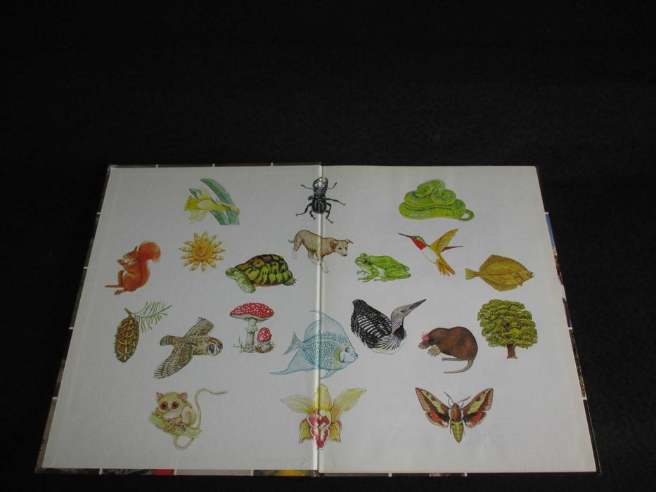 Livro Dicionário Ilustrado da Natureza Colin e Moira Maclean
