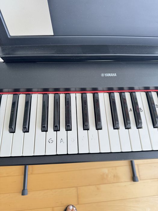 Teclado yamaha piaggero NP-31