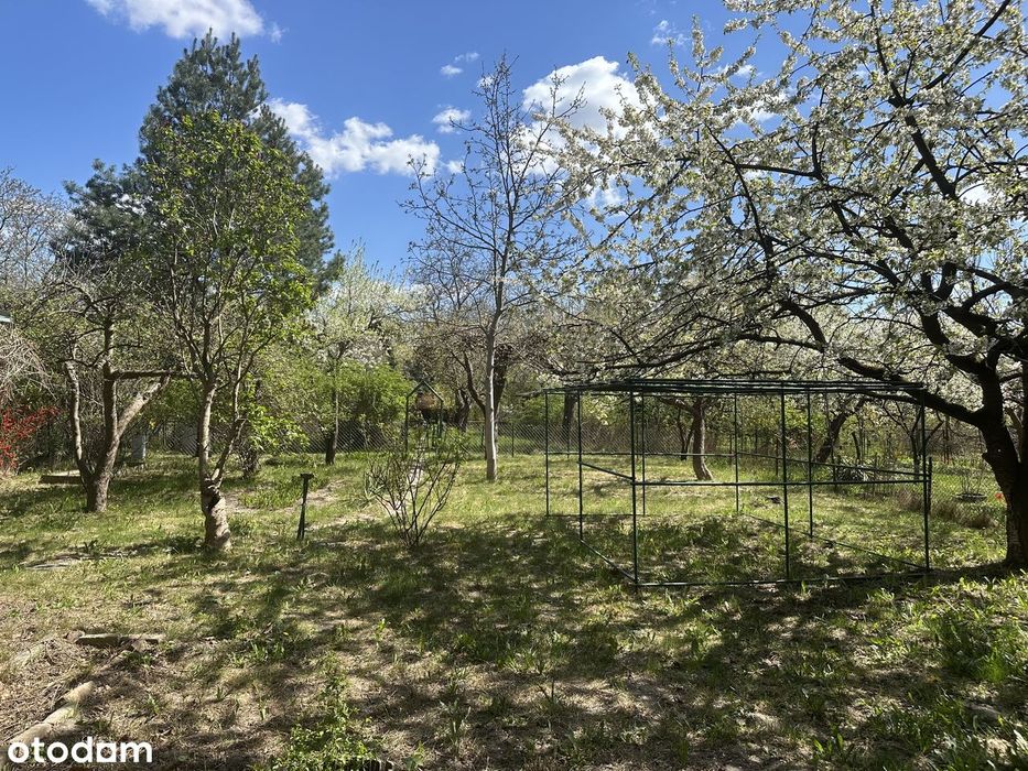 Klimatyczny ogród ROD na Górnym Mokotowie | 400 m² | starodrzew - Widok 2