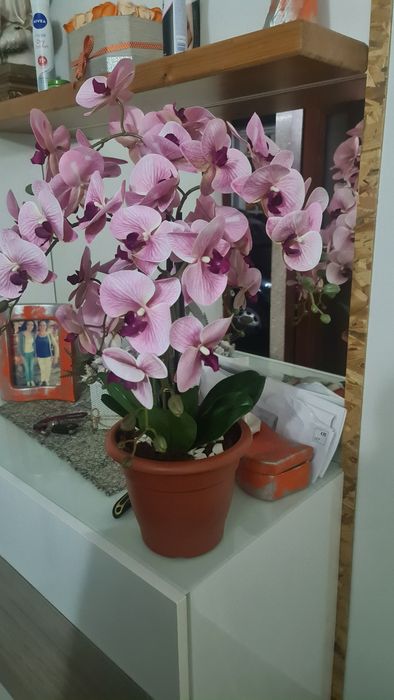 Vendo floreiras decorativas