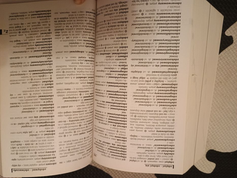 Słownik polsko hiszpański korespondencja j. hiszpańskiego