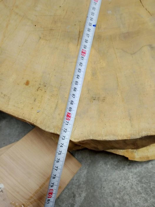Plaster drzewa z Topoli