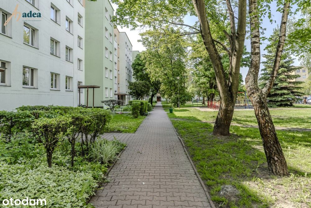 Mieszkanie 49,5 m² przy ul. Wolności