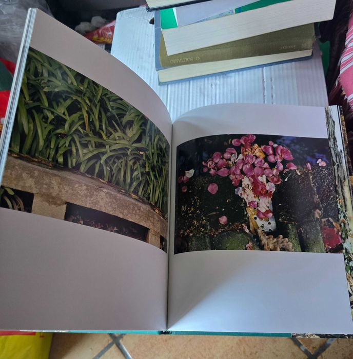Livro jardins de cristal