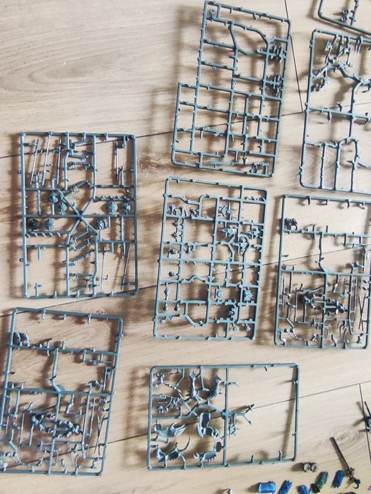 Warhammer Age of Sigmar/ old world/ 9th Age t9A