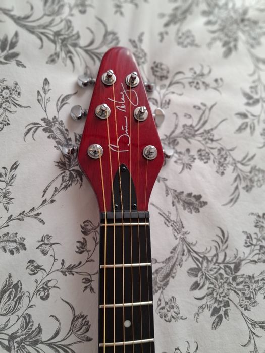 Red Special Brian May