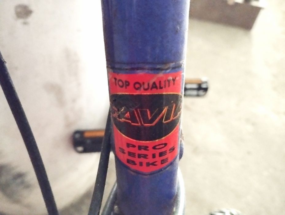Bicicleta Cavia Deluxe MTB