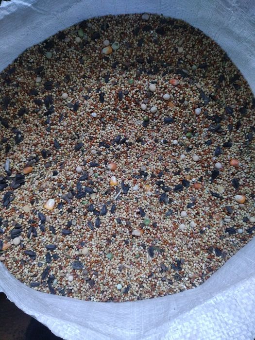 Мішанка для птиці та голубів