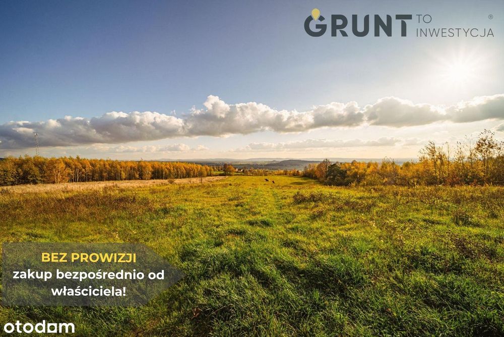 Działka budowlane przy lesie