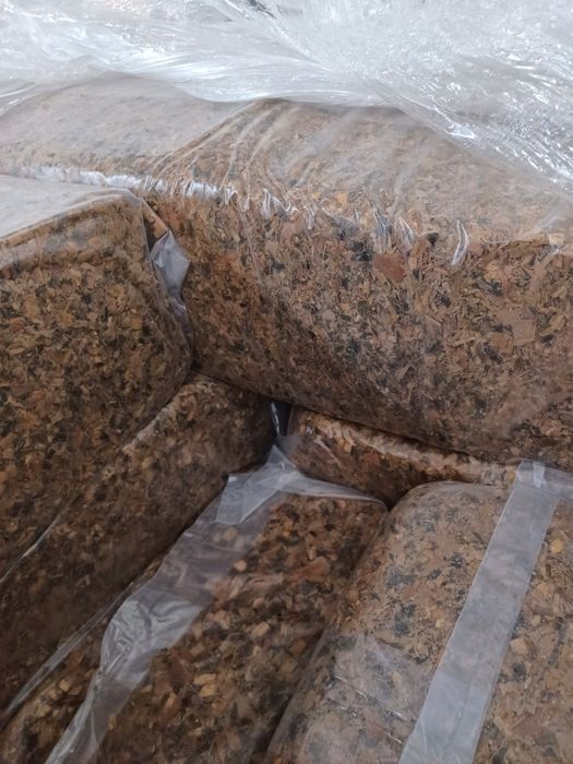 Silagem milho em vácuo