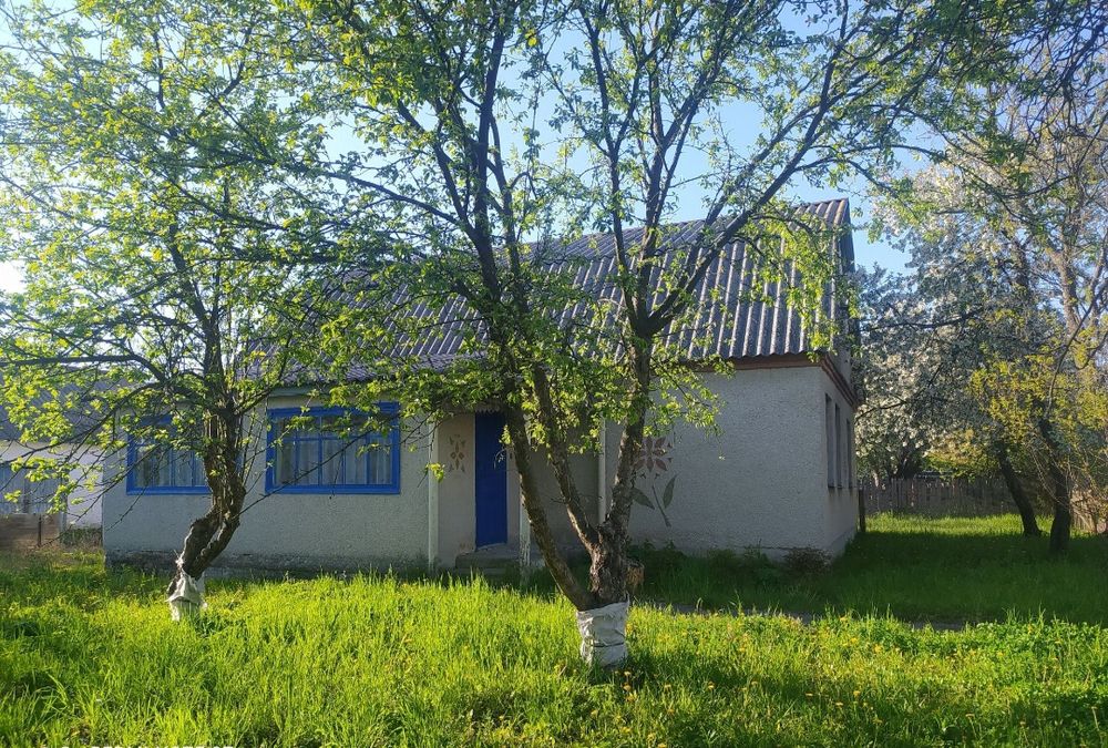 Продам будинок у с. Привороття