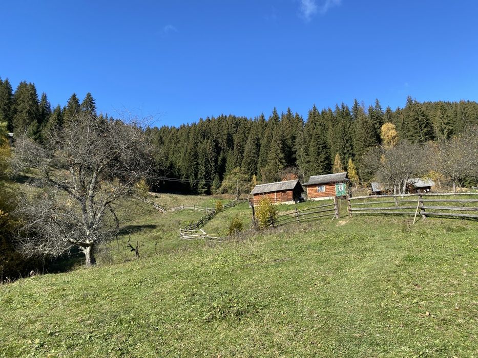 З двох сторін потічки. З трьох сторін дерева. Гарний заїзд