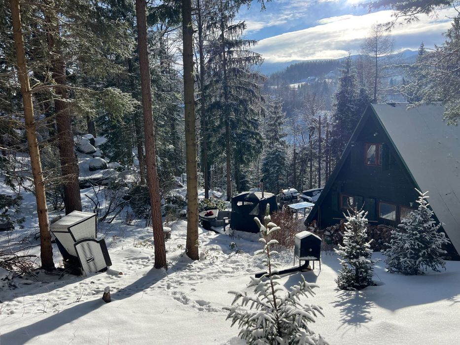 HIT Domek w Karkonoszach / Jacuzzi Sauna  / Przesieka Hain