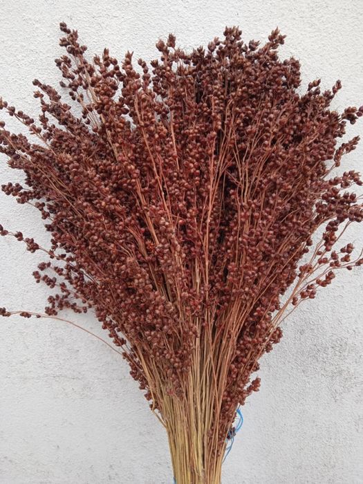 Vendo flores naturais secas para fazer arranjos