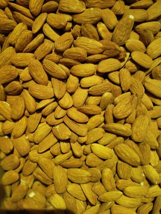 Miolo de amêndoa de 2025