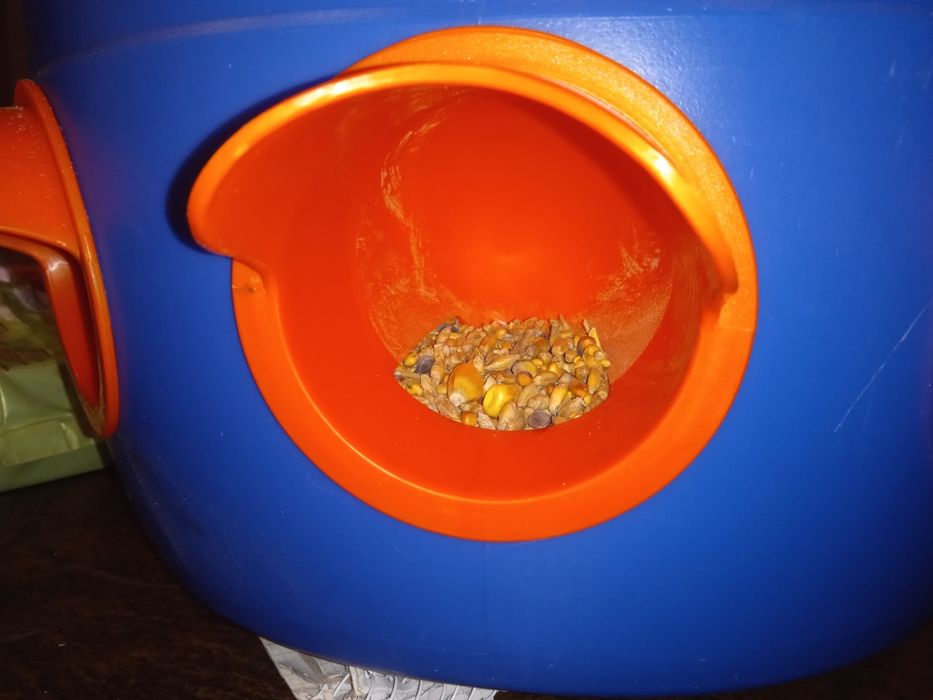 Karmidło dla kur 30kg