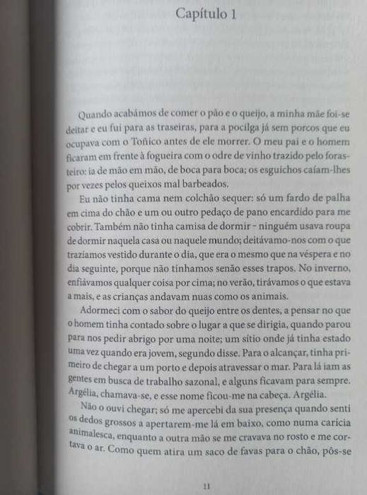 Se um Dia Voltarmos - María Dueñas