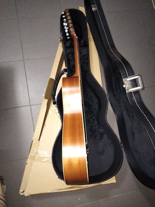 Bragançan Viola Kit with Case64730172837378121