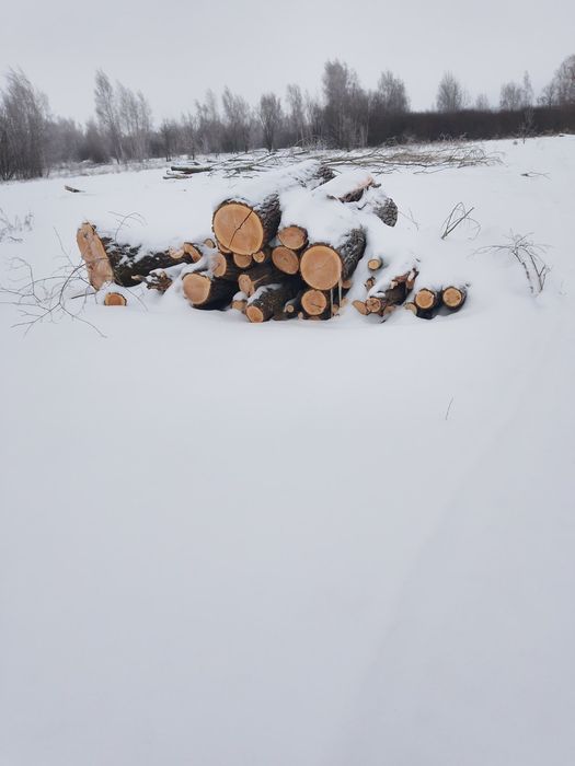 Продаж дрів,переважно 2м