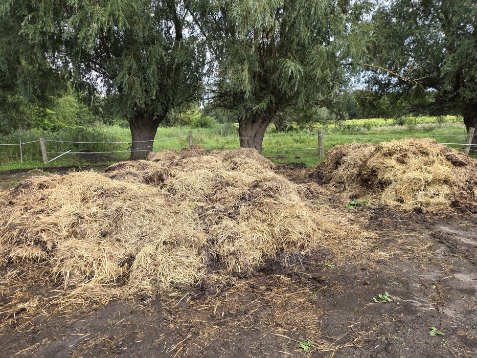 Obornik  koński, nawóz naturalny