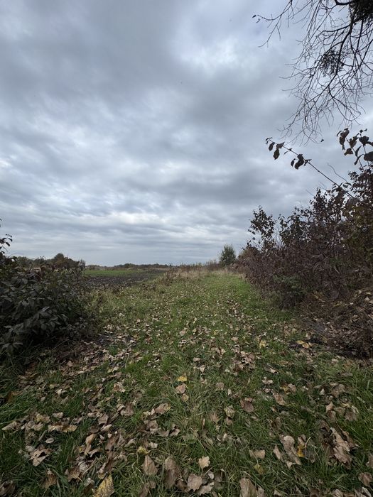 Продаж ділянки в с.Оброшине (під будівництво).