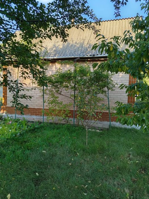 Дача з грубою, великим каміном та банею