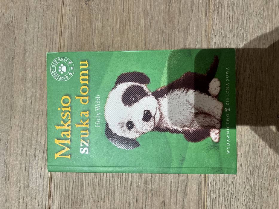 Maksio szuka domu Holly Webb