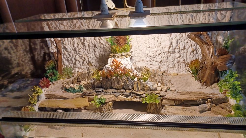 Terrarium 80x40x40 z wyposażeniem( jak nowe)