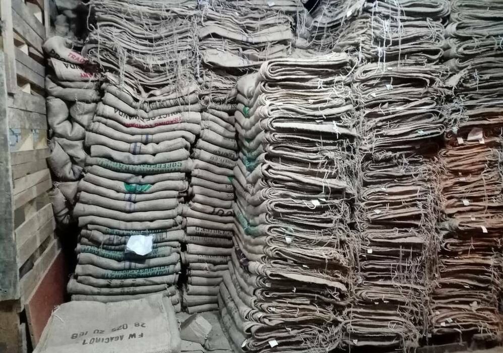 Мішки Кубинські товсті