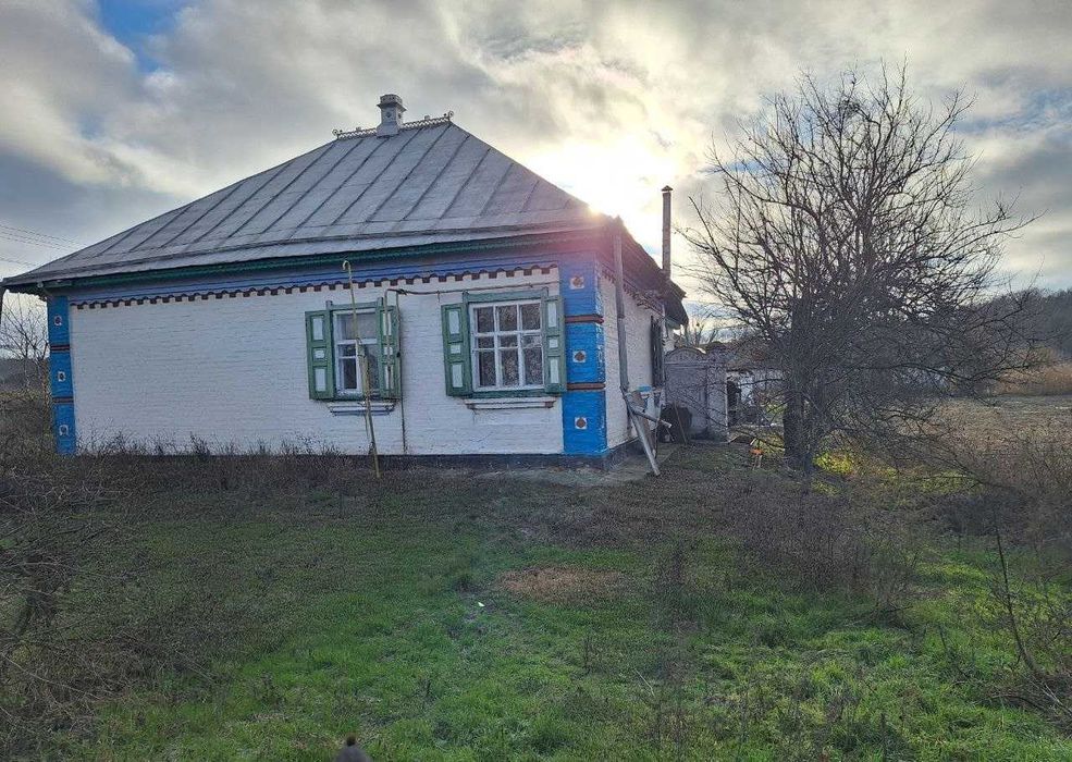 Будинок, літня кухня, гараж, центр, земельна ділянка.