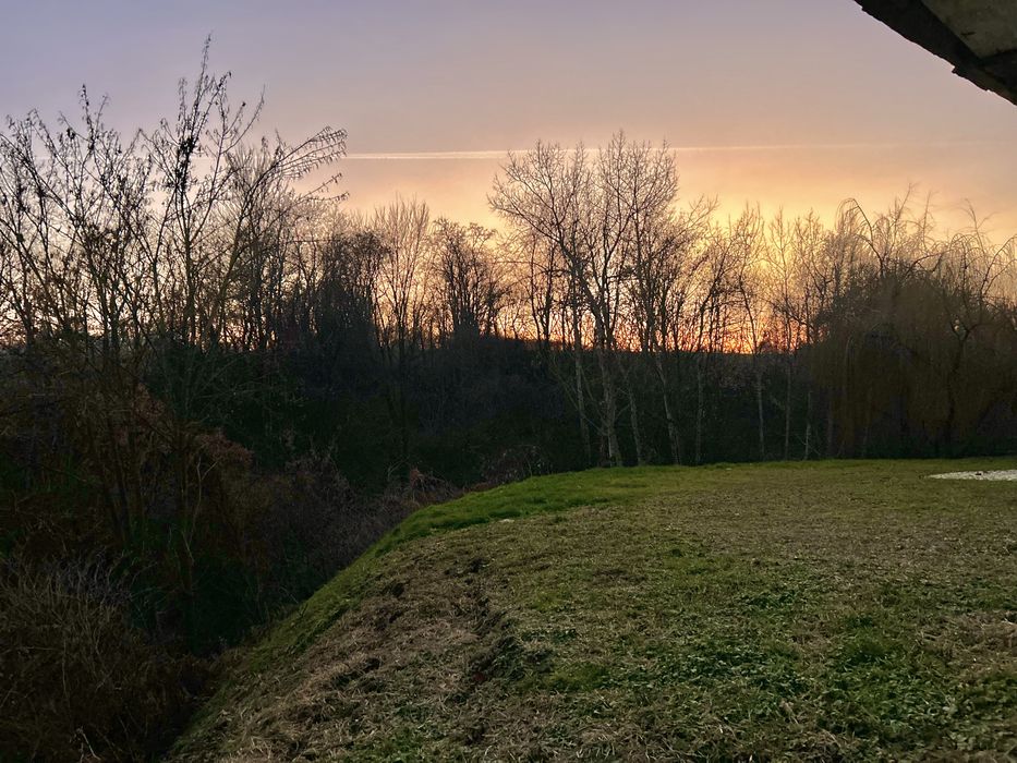 21 arów ciszy z prywatnym laskiem i starym domem