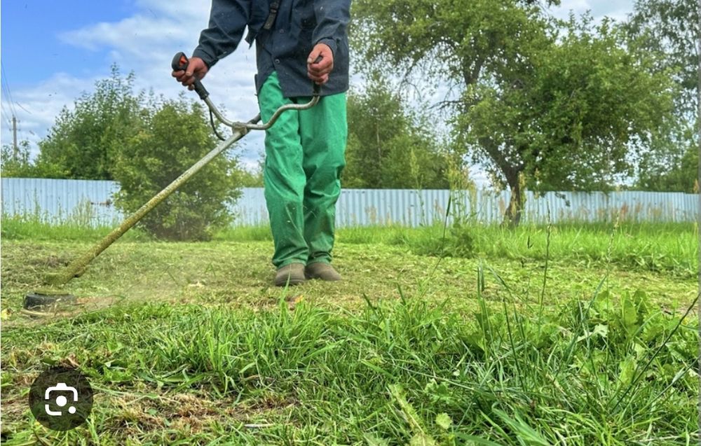 Limpeza de pequenos terrenos