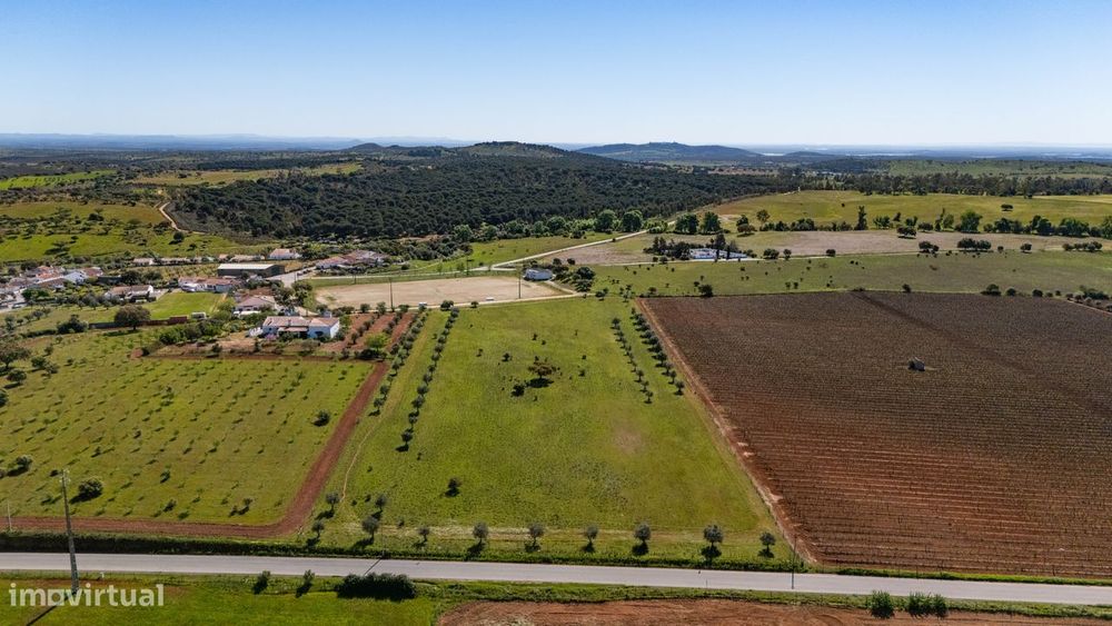 Terreno no concelho de Reguengos de Monsaraz com Projeto de arquitetur